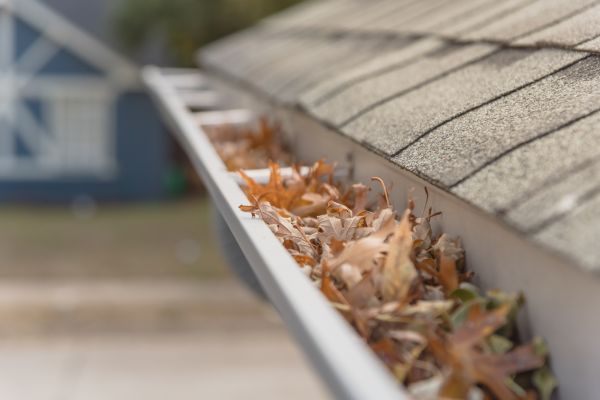 Leaf Barrier Installation in Pasadena